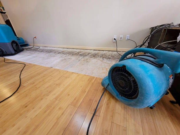 Professional Water Damage Repair technician working in Cordova, SC